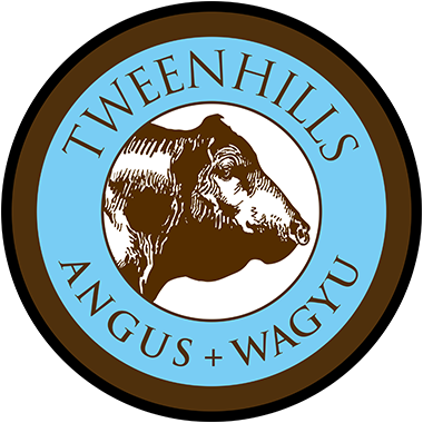 Spring Lodge logo